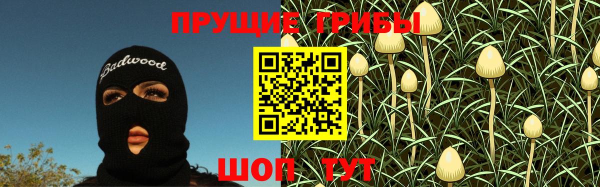Галлюциногенные грибы Psilocybine cubensis Асбест